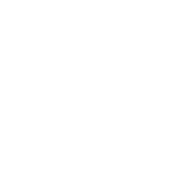 Disheveled Spiral Logo